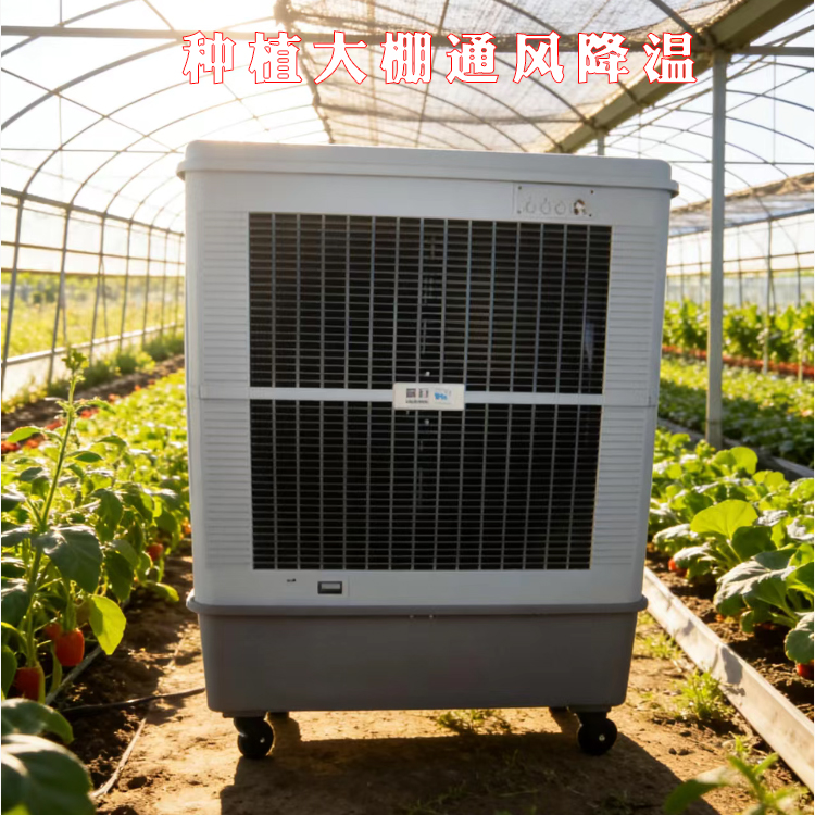 ��ֲ���ｵ��ͨ�������ױ��ƶ�����MFC18000D